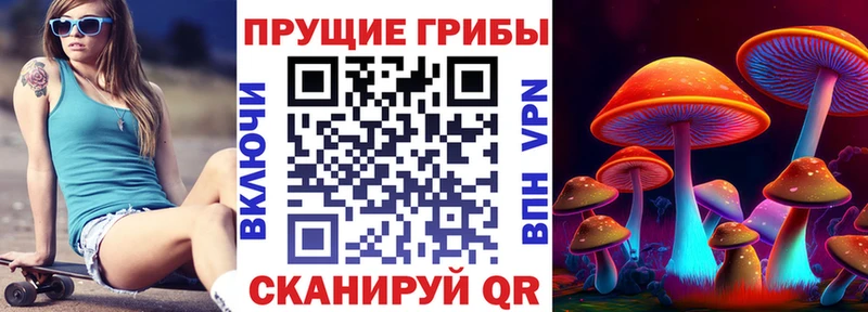 Купить  Спасск-Дальний  Галлюциногенные грибы Psilocybe 